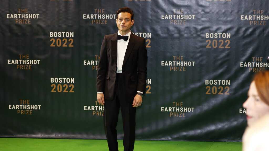 British royals, celebrities, politicians on green carpet at Earthshot