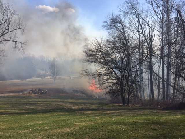 Photos: Firefighters Battle Brush Fire Near Randallstown