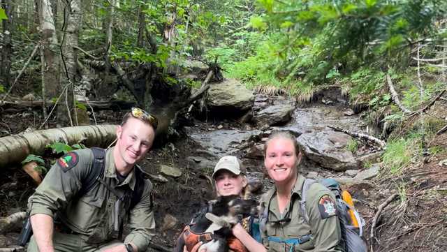 New York DEC Rangers rescue puppy on McKenzie Mountain in North Elba - Vimarsana News