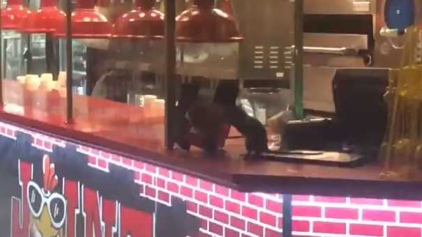 Rats on pizza restaurant counter caught on video