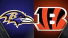 Ravens vs Bengals Playoff #PurpleTailgate