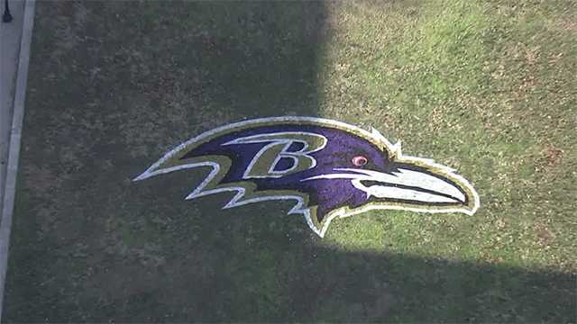 Baltimore Ravens Pop-Up Shop getting the city geared up for playoffs