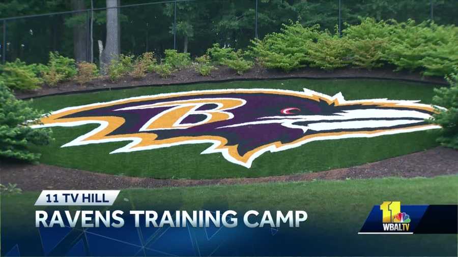 ravens training camp