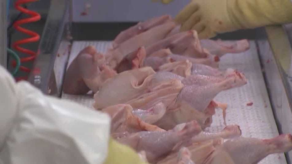 USDA withdraws proposed rule on salmonella-contaminated poultry