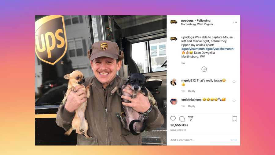 Sean "Dawgzilla" McCarren manages the Instagram and Facebook accounts UPS Dogs, where he posts photos of UPS delivery drivers and the dogs they see along their routes.