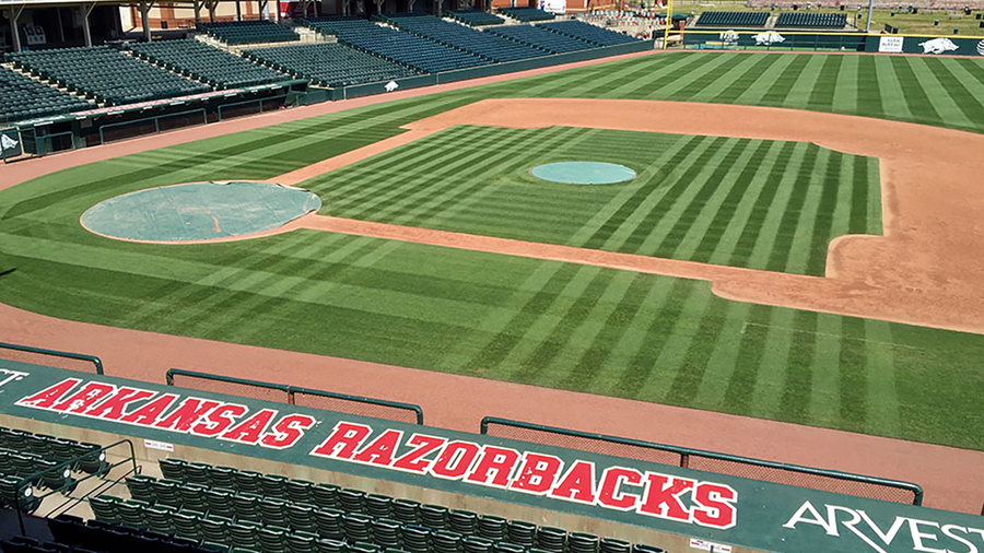 A look at Arkansas vs. NC State baseball on Friday, June 11, 2021