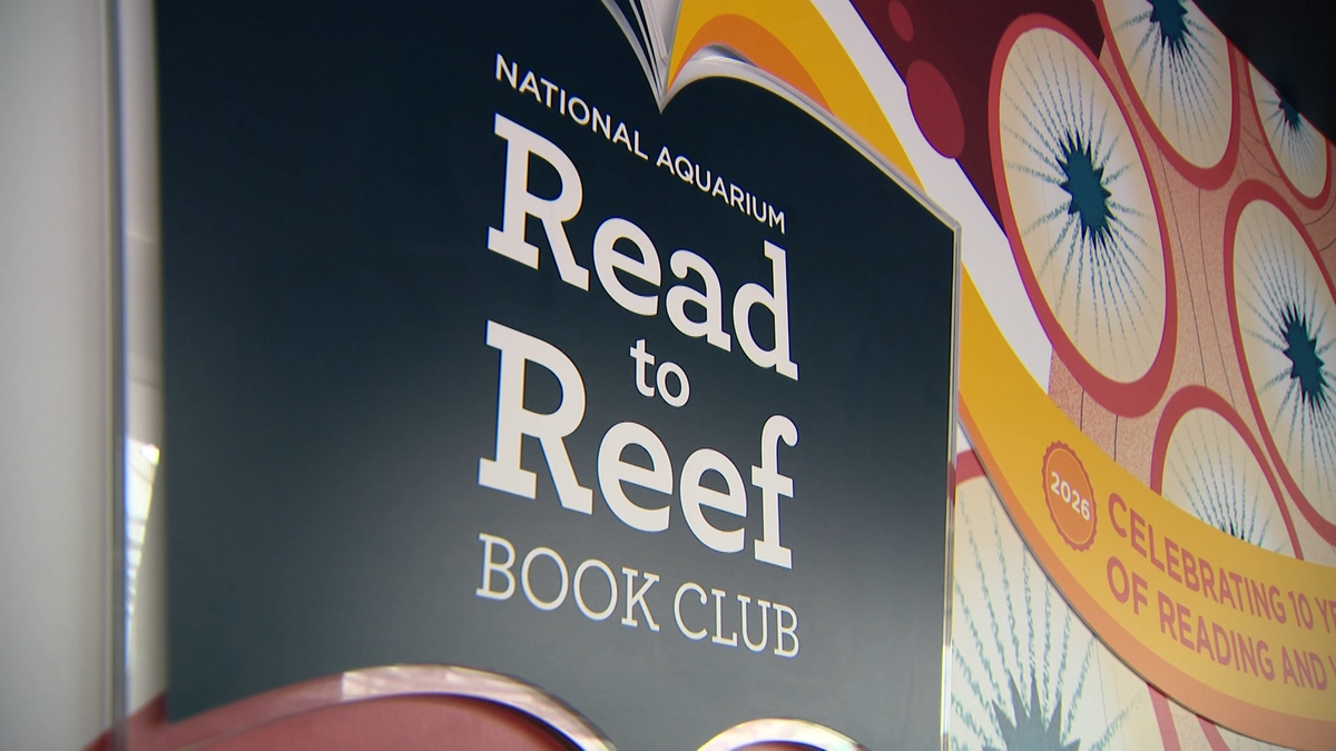 Baltimore's Read to Reef book club offers free aquarium visits for young readers