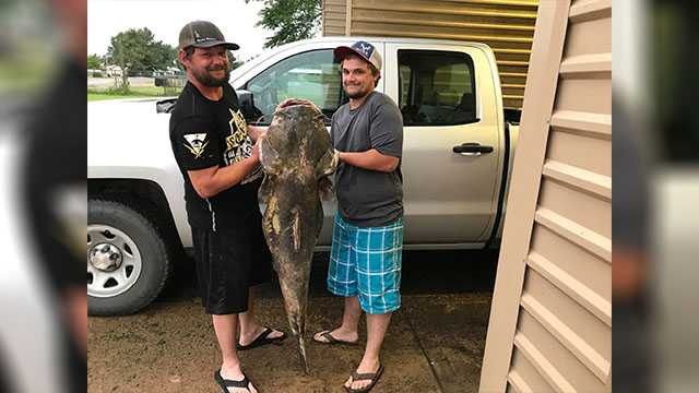 Men set lake record after noodling 87-pound flathead catfish from
