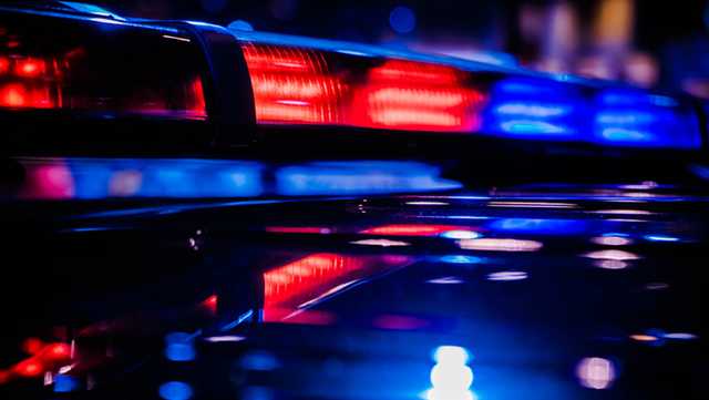South Carolina: Skeletal remains found of man reported missing - Vimarsana News