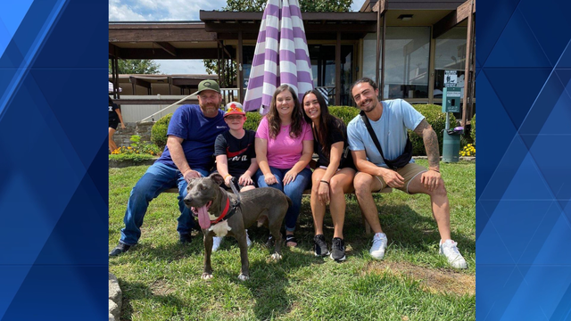 Dog named Joey Votto gets adopted after being fostered by Reds' Jonathon India and girlfriend - Vimarsana News