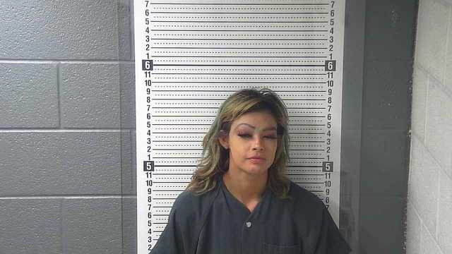 Woman arrested after stealing car with 2 children inside - Vimarsana News