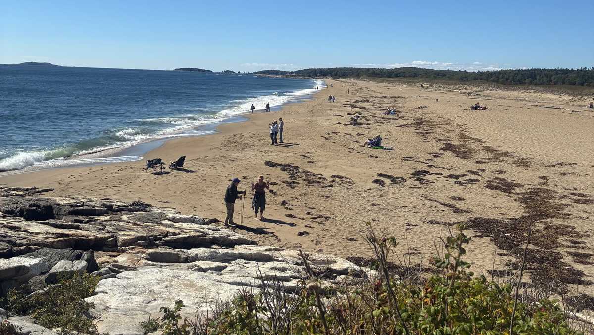 Shark sightings prompt beach closure at a Maine State Park