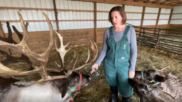 Ohio agriculture officials clear Santa's reindeer to fly this Christmas - Vimarsana News