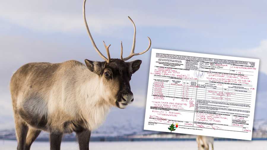 Santas Reindeer Cleared To Fly Across Vermont