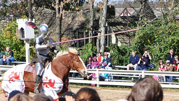 are dogs allowed at the renaissance festival ohio