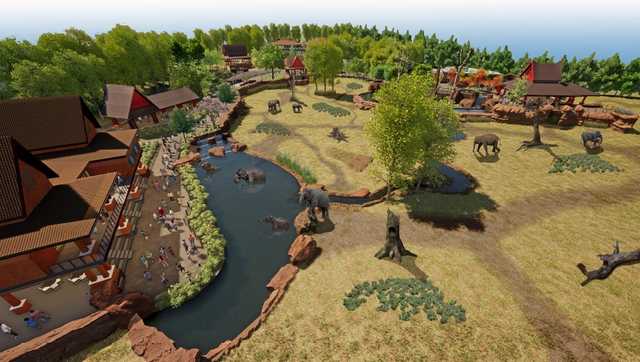 Cincinnati Zoo: Elephants will walk on water at new habitat opening next year - Vimarsana News