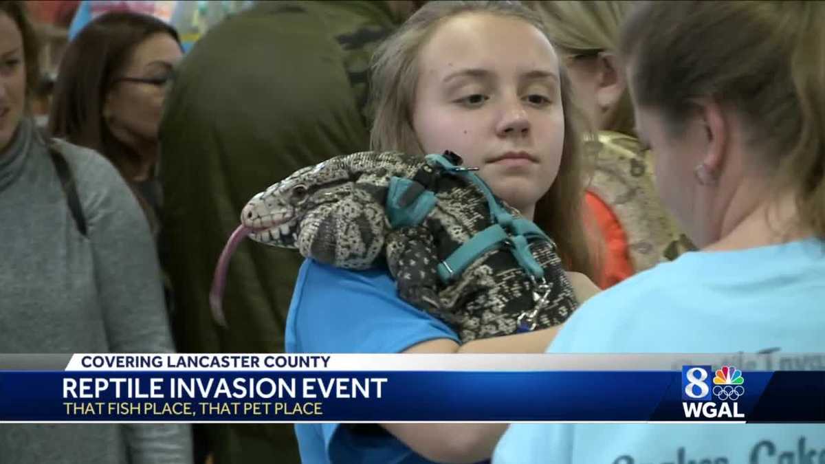 Reptile Invasion came to Lancaster