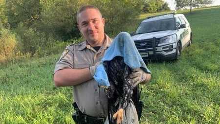 ohio park ranger rescued bald eagle stuck in water along trail