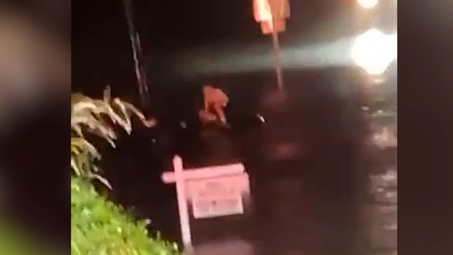 Hoover first responders rescue woman from car in flood waters - Vimarsana News