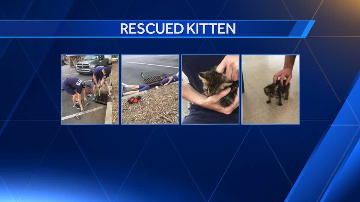 Cahaba Valley Fire Department rescue kitten from storm drain