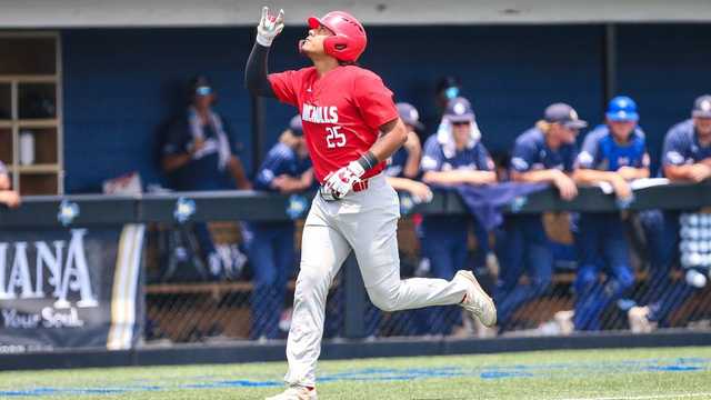 Lake Charles Nicholls Colonels UNO Privateers - Vimarsana News