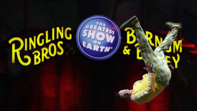 'Greatest Show On Earth' may return without animals - Vimarsana News