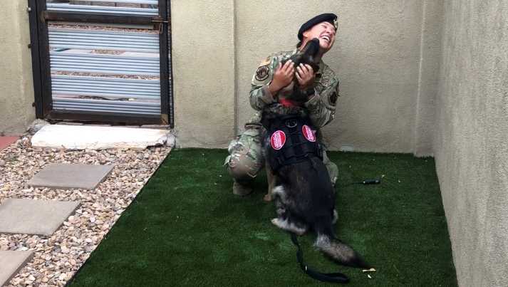 Retired military dog reunited with New Mexico airman