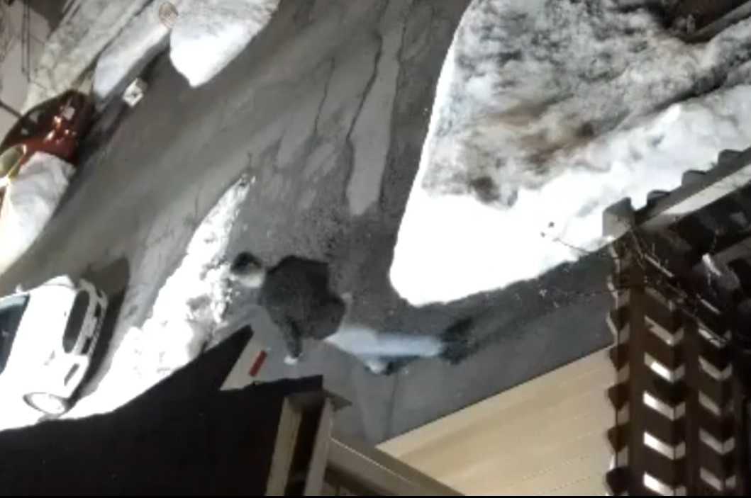 Revere warns pedestrians after late-night indecent assaults near MBTA station