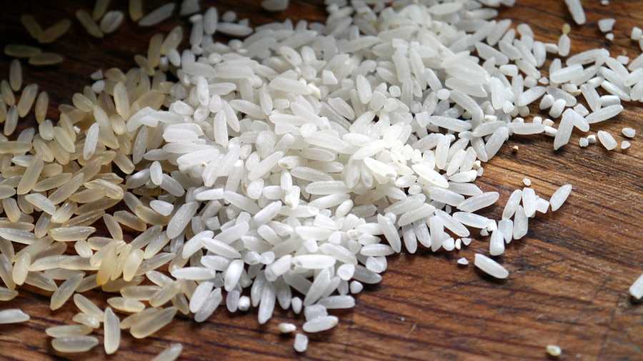 FILE image of rice