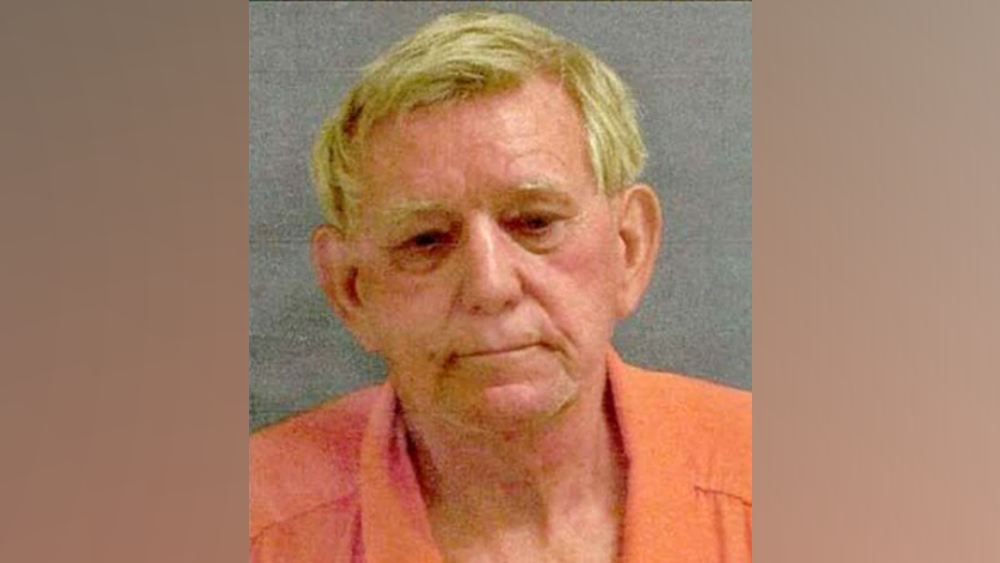 Georgia man faces animal cruelty charges, dozens of dogs seized
