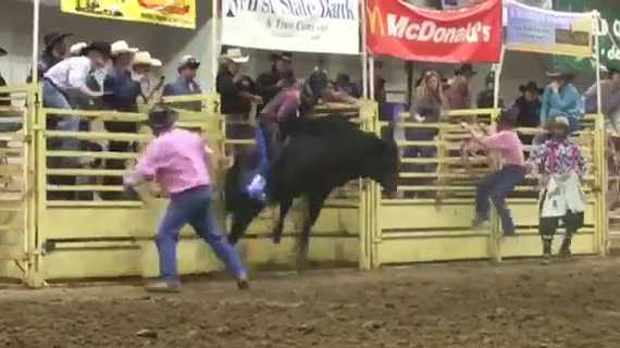 Bull rider trampled, flown to Omaha hospital