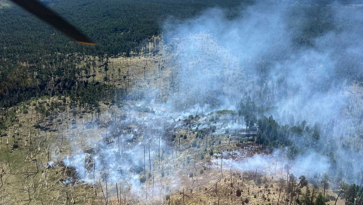 Two fires burning in Gila National Forest