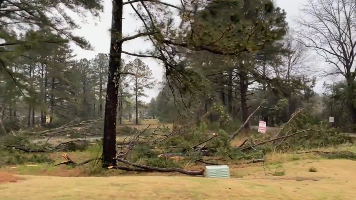 Storm damage reported across central Mississippi from severe storms