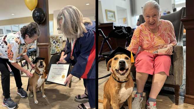 therapy&#x20;dog&#x20;graduates