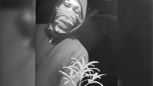Bluffton: Doorbell camera captures suspect in attempted break-in - Vimarsana News