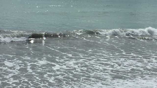 Man dies, total of 6 people rescued after caught in Florida rip current - Vimarsana News