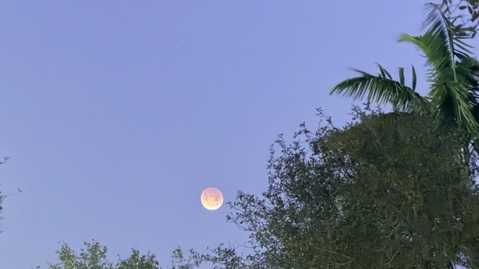 Photo Gallery: Total Lunar Eclipse over South Florida | March 3, 2026