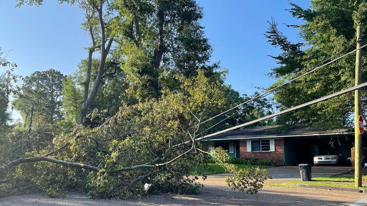 Jackson residents say a fallen tree knocked out power, which is still ...