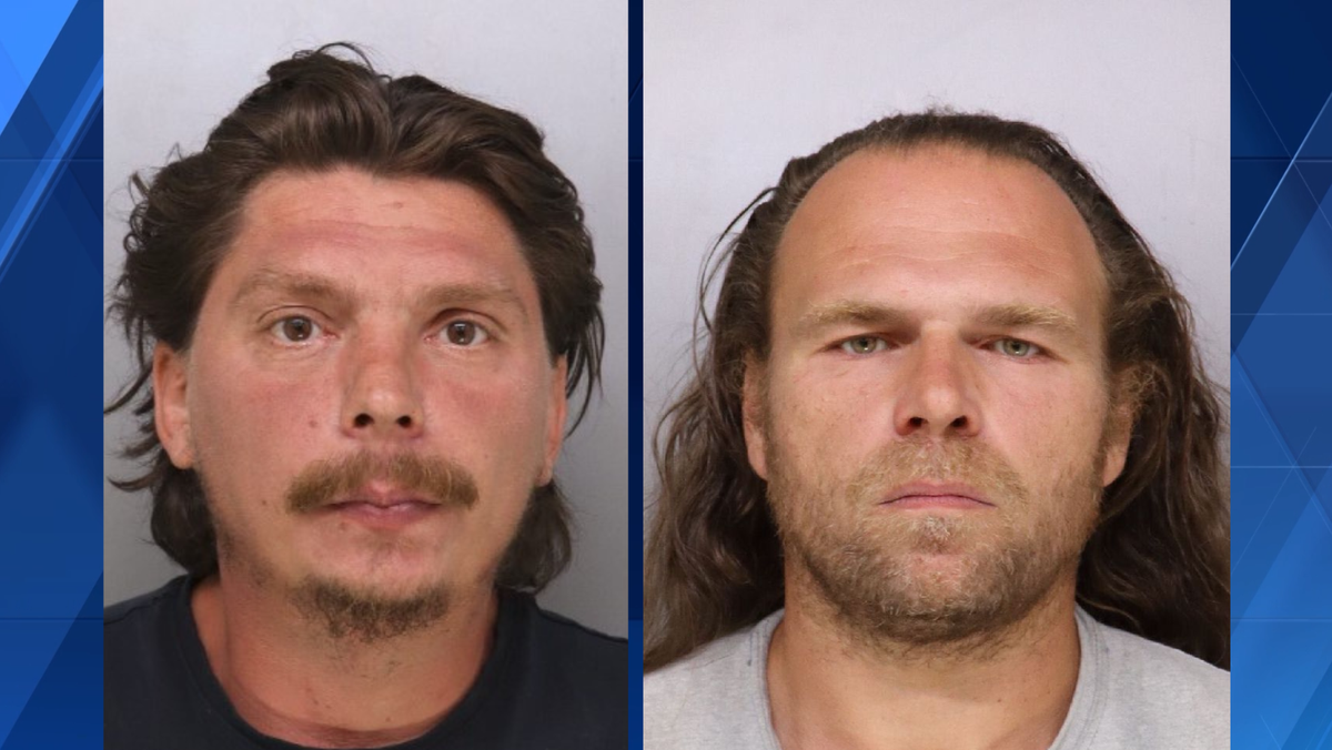 Two charged after alleged machete attack on 16-year-old