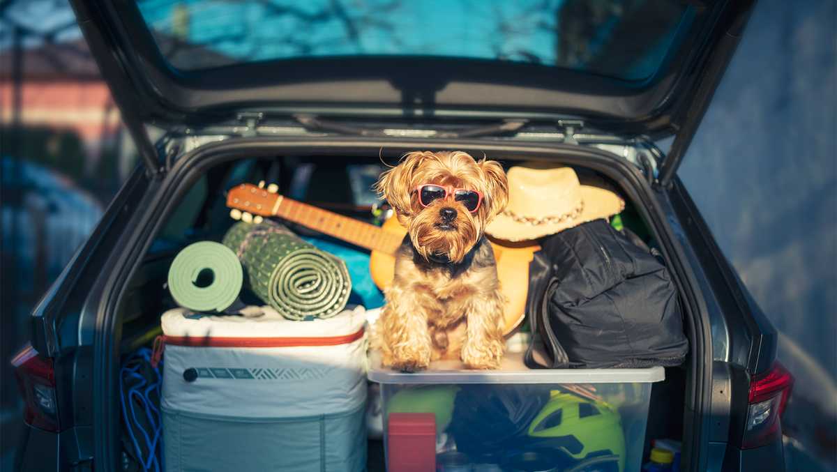 Use these gadgets and apps on your next road trip