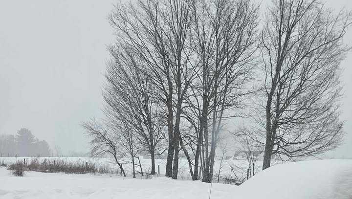 Winter snowstorm blankets Western Pennsylvania | Photos, videos from across the region
