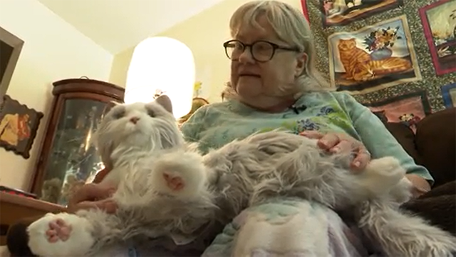 South Carolina woman who lost pet to cancer receives robotic cat - Vimarsana News
