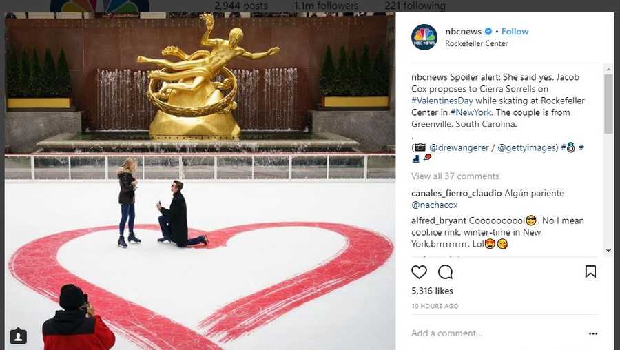 Greenville man proposes in New York 