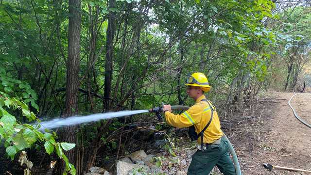 Rain brings 'temporary relief' from brush fires, drought drags on - Vimarsana News
