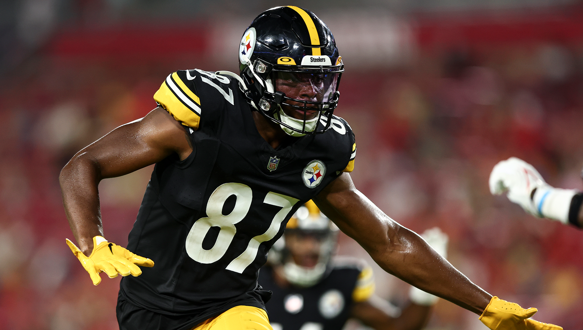 Pittsburgh Steelers Release WR Dez Fitzpatrick - Sports