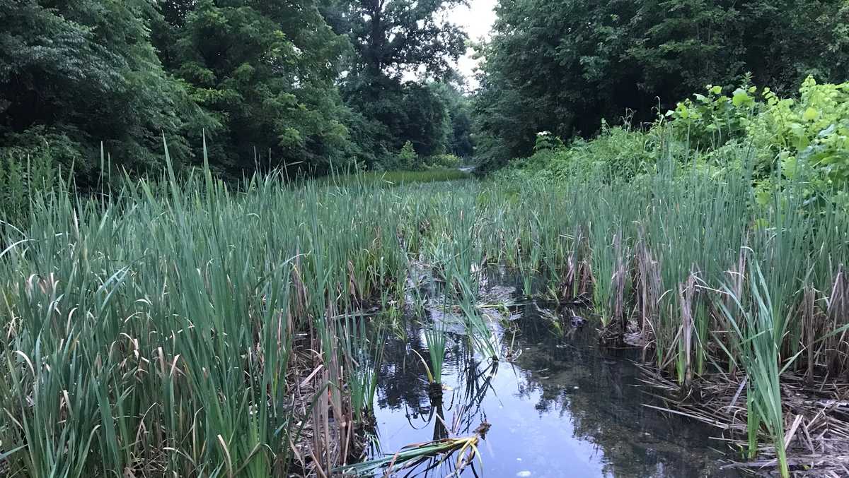 Tap List A Sneak Peek at Boulevardia’s Taps & TastesThe