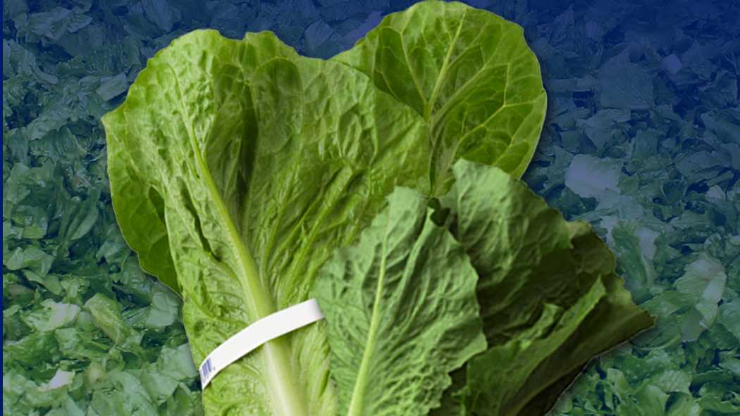 5 Dead Nearly 200 Sickened In Romaine Lettuce Outbreak 8612