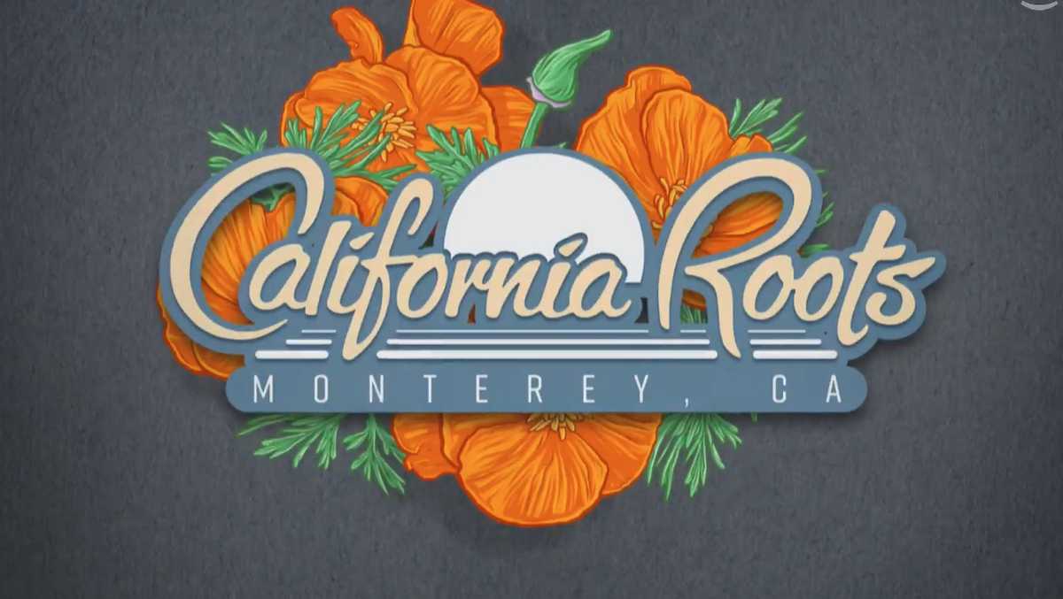 WATCH LIVE California Roots Music Festival in Monterey