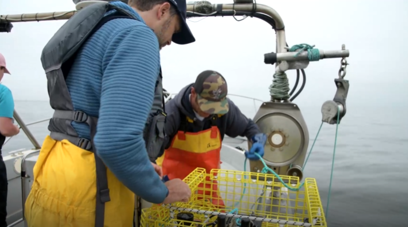 Use of 'ropeless' fishing gear has potential to end Dungeness crab season  delays