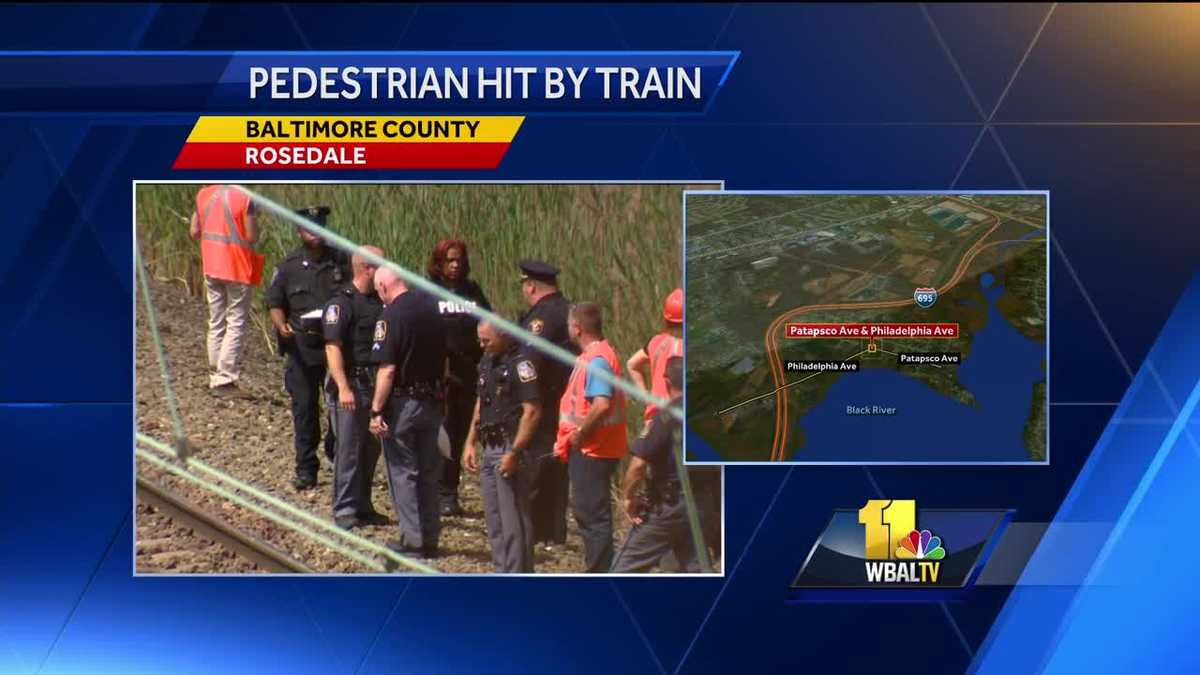Man fatally struck by train in Rosedale, police say